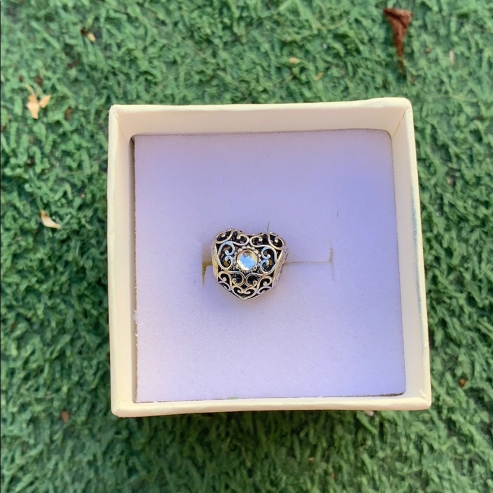 Pandora bracelet charm
